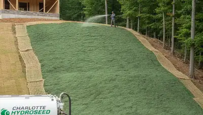 Professional hydroseeding on hillside slope for erosion control in Charlotte NC landscaping project